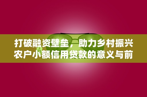 打破融资壁垒，助力乡村振兴农户小额信用贷款的意义与前景