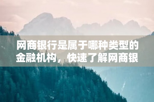 网商银行是属于哪种类型的金融机构，快速了解网商银行的法律地位与经营特点