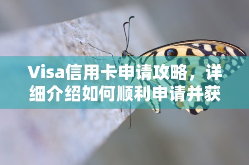 Visa信用卡申请攻略，详细介绍如何顺利申请并获得Visa卡