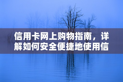 信用卡网上购物指南，详解如何安全便捷地使用信用卡进行在线购物