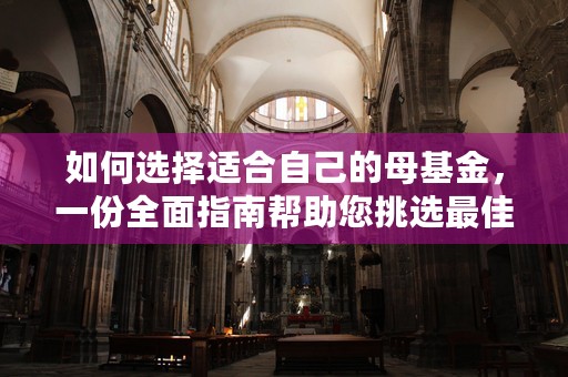 如何选择适合自己的母基金，一份全面指南帮助您挑选最佳投资机会