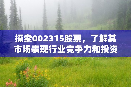 探索002315股票，了解其市场表现行业竞争力和投资机会