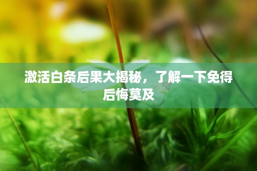 激活白条后果大揭秘，了解一下免得后悔莫及