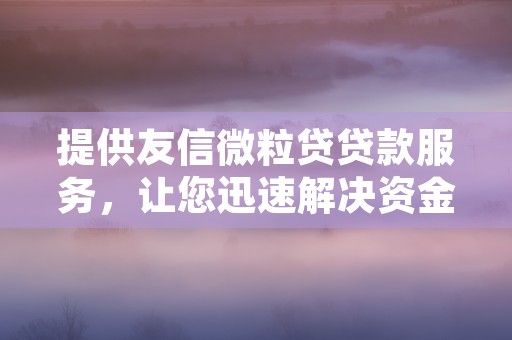 提供友信微粒贷贷款服务，让您迅速解决资金需求