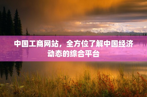 中国工商网站，全方位了解中国经济动态的综合平台