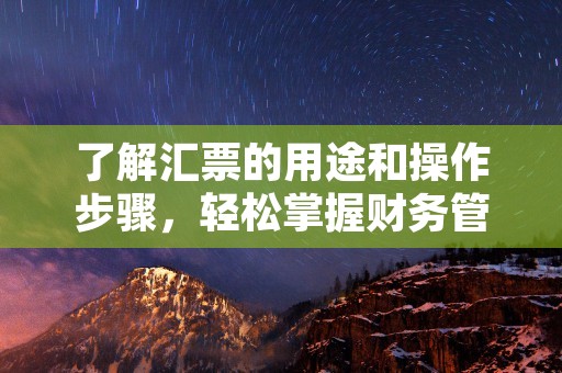 了解汇票的用途和操作步骤，轻松掌握财务管理技巧