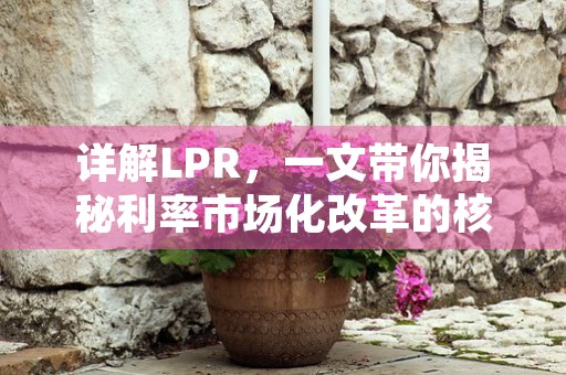 详解LPR，一文带你揭秘利率市场化改革的核心概念