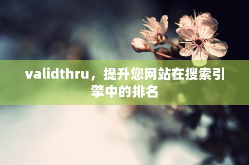 validthru，提升您网站在搜索引擎中的排名