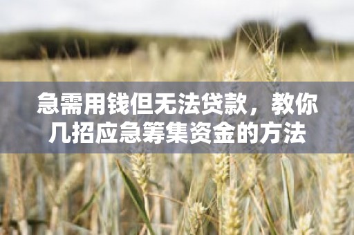 急需用钱但无法贷款，教你几招应急筹集资金的方法