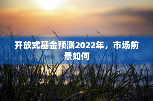 开放式基金预测2022年，市场前景如何