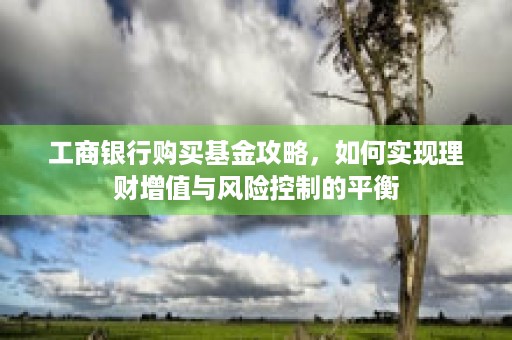 工商银行购买基金攻略，如何实现理财增值与风险控制的平衡