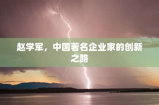 赵学军，中国著名企业家的创新之路