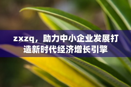 zxzq，助力中小企业发展打造新时代经济增长引擎