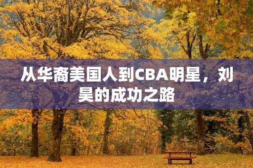 从华裔美国人到CBA明星，刘昊的成功之路