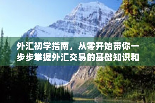 外汇初学指南，从零开始带你一步步掌握外汇交易的基础知识和实操技巧