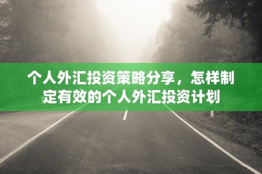 个人外汇投资策略分享，怎样制定有效的个人外汇投资计划