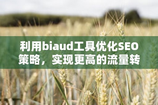 利用biaud工具优化SEO策略，实现更高的流量转换率