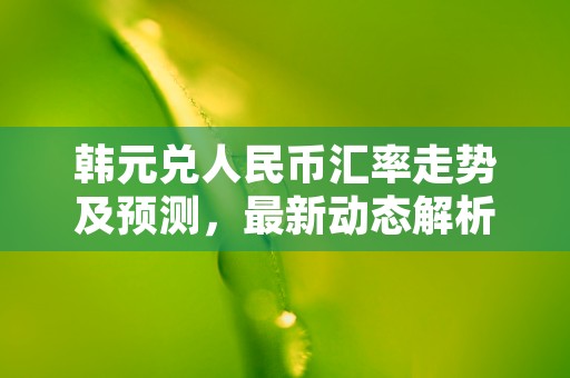 韩元兑人民币汇率走势及预测，最新动态解析