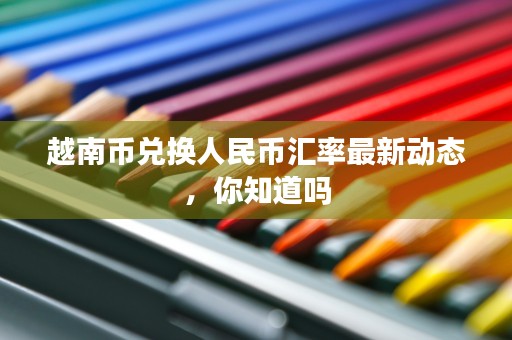 越南币兑换人民币汇率最新动态，你知道吗