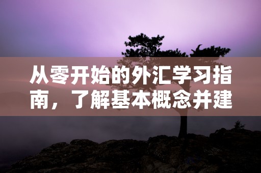 从零开始的外汇学习指南，了解基本概念并建立自己的外汇投资策略