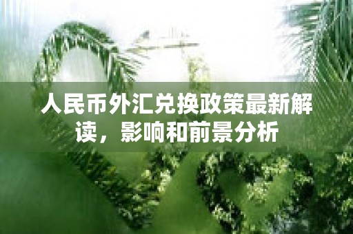 人民币外汇兑换政策最新解读，影响和前景分析