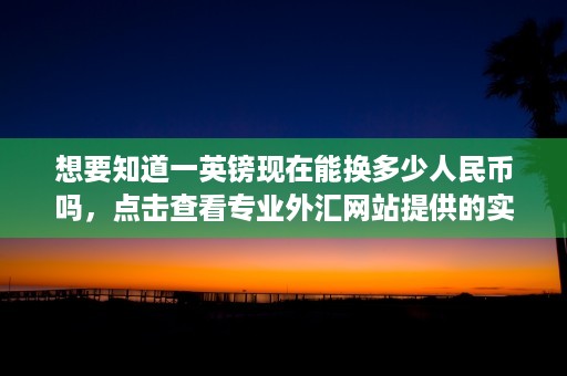 想要知道一英镑现在能换多少人民币吗，点击查看专业外汇网站提供的实时汇率信息