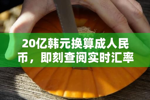 20亿韩元换算成人民币，即刻查阅实时汇率