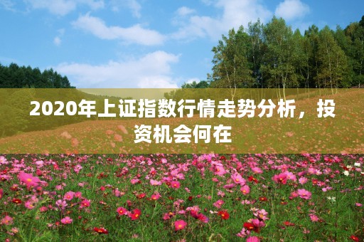 2020年上证指数行情走势分析，投资机会何在