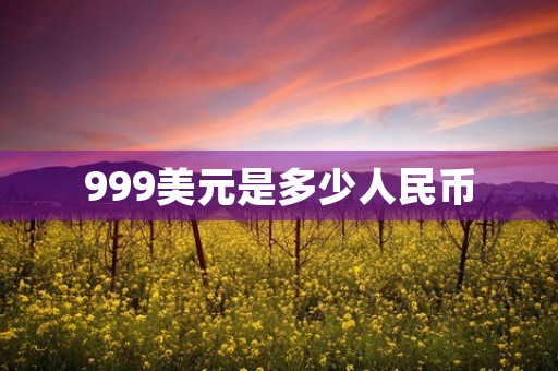 999美元是多少人民币