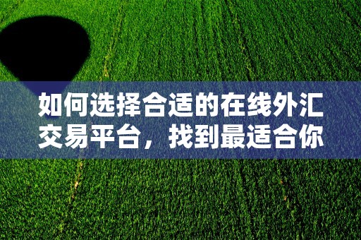 如何选择合适的在线外汇交易平台，找到最适合你需求的外汇交易平台