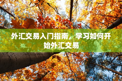 外汇交易入门指南，学习如何开始外汇交易