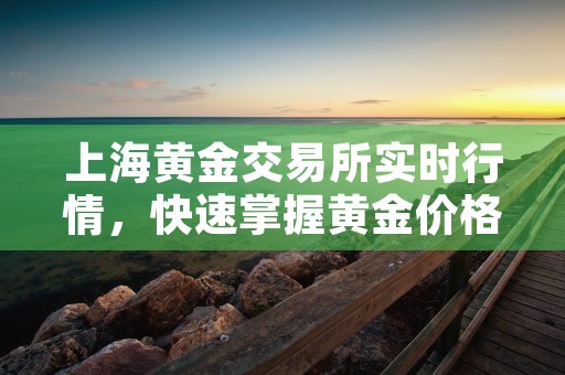 上海黄金交易所实时行情，快速掌握黄金价格变动趋势