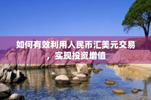 如何有效利用人民币汇美元交易，实现投资增值