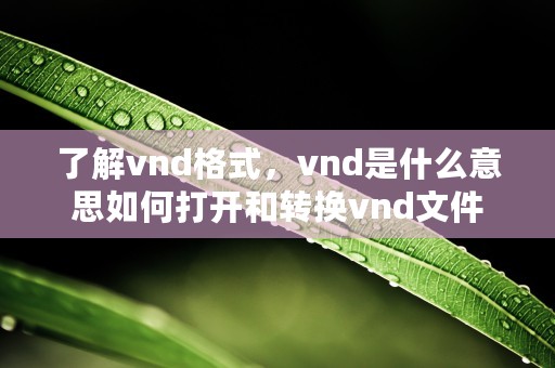 了解vnd格式，vnd是什么意思如何打开和转换vnd文件