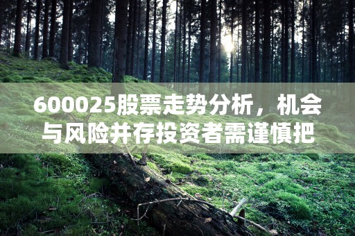 600025股票走势分析，机会与风险并存投资者需谨慎把握