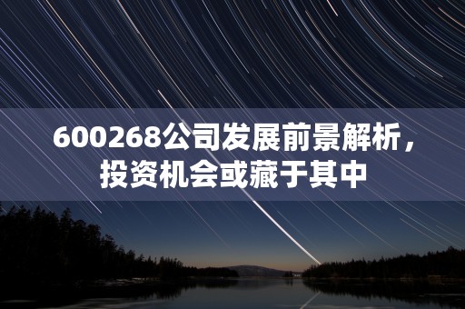 600268公司发展前景解析，投资机会或藏于其中