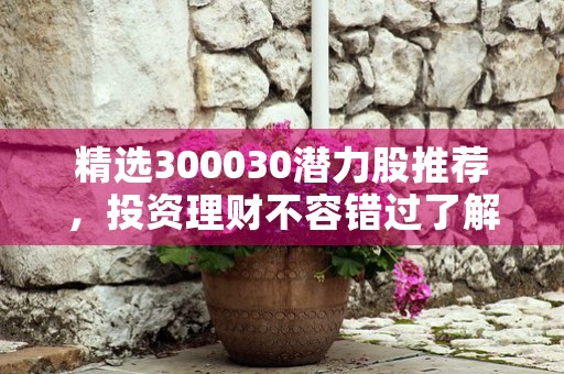 精选300030潜力股推荐，投资理财不容错过了解300030公司业绩行业前景等关键信息把握机遇与风险