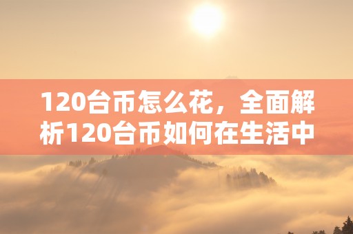 120台币怎么花，全面解析120台币如何在生活中发挥价值