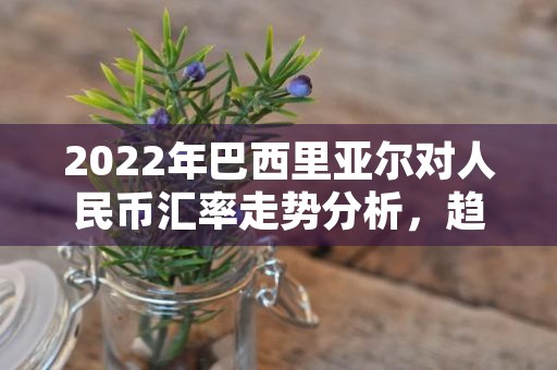 2022年巴西里亚尔对人民币汇率走势分析，趋势影响因素及投资建议