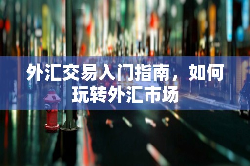 外汇交易入门指南，如何玩转外汇市场