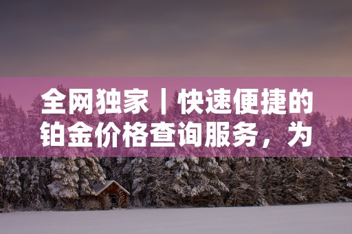 全网独家｜快速便捷的铂金价格查询服务，为您提供可靠的市场参考