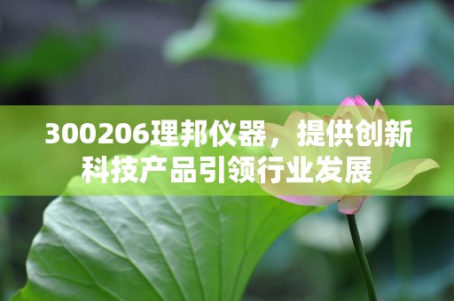 300206理邦仪器，提供创新科技产品引领行业发展