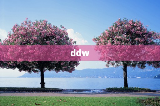 ddw