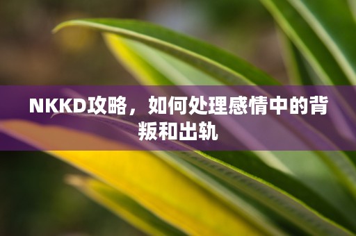 NKKD攻略，如何处理感情中的背叛和出轨