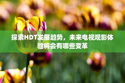 探索HDT发展趋势，未来电视观影体验将会有哪些变革