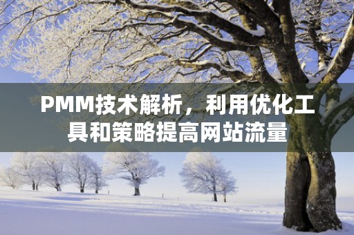 PMM技术解析，利用优化工具和策略提高网站流量