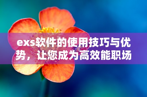 exs软件的使用技巧与优势，让您成为高效能职场人才