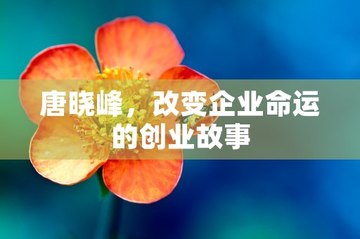 唐晓峰，改变企业命运的创业故事