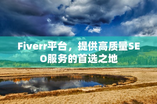 Fiverr平台，提供高质量SEO服务的首选之地