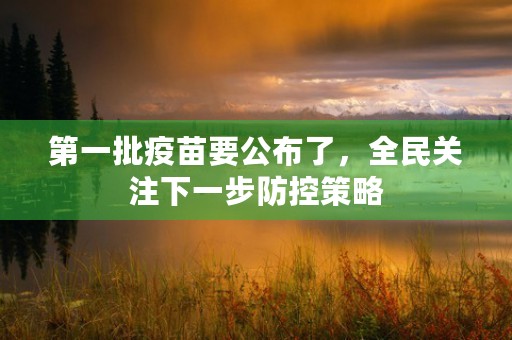 第一批疫苗要公布了，全民关注下一步防控策略